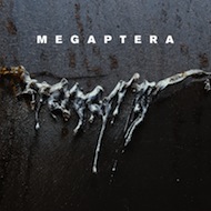 megaptera - nailed on vinyl - lp